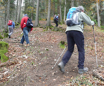 Wanderung Freitag Fitness