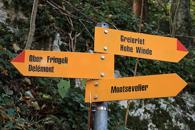 Wanderung Freitag Fitness