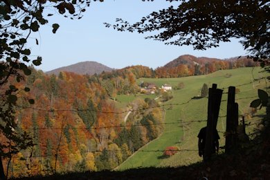 Wanderung Freitag Fitness