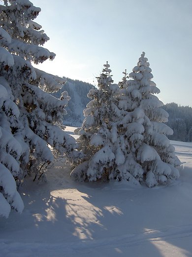 Schneeweekend Flumserberge 2012