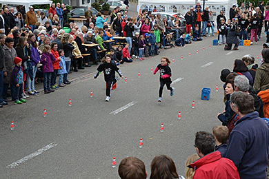 Eierleset 2014