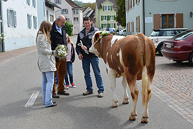 Eierleset 2014