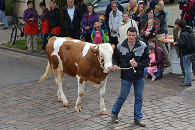 Eierleset 2014