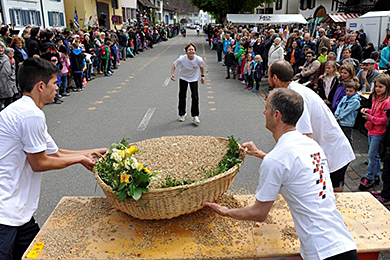Eierleset 2014