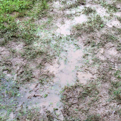 Kantonales Turnfest Diegten 2016