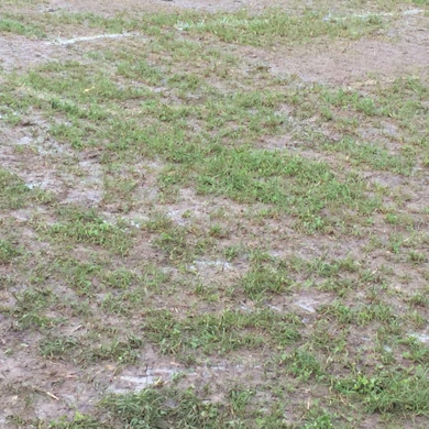 Kantonales Turnfest Diegten 2016