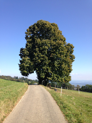 Turnfahrt 2016 Freitag Fitness