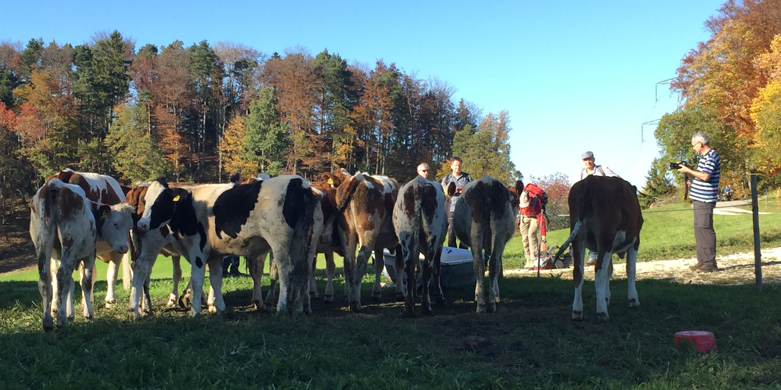 Turnfahrt Freitag Fitness