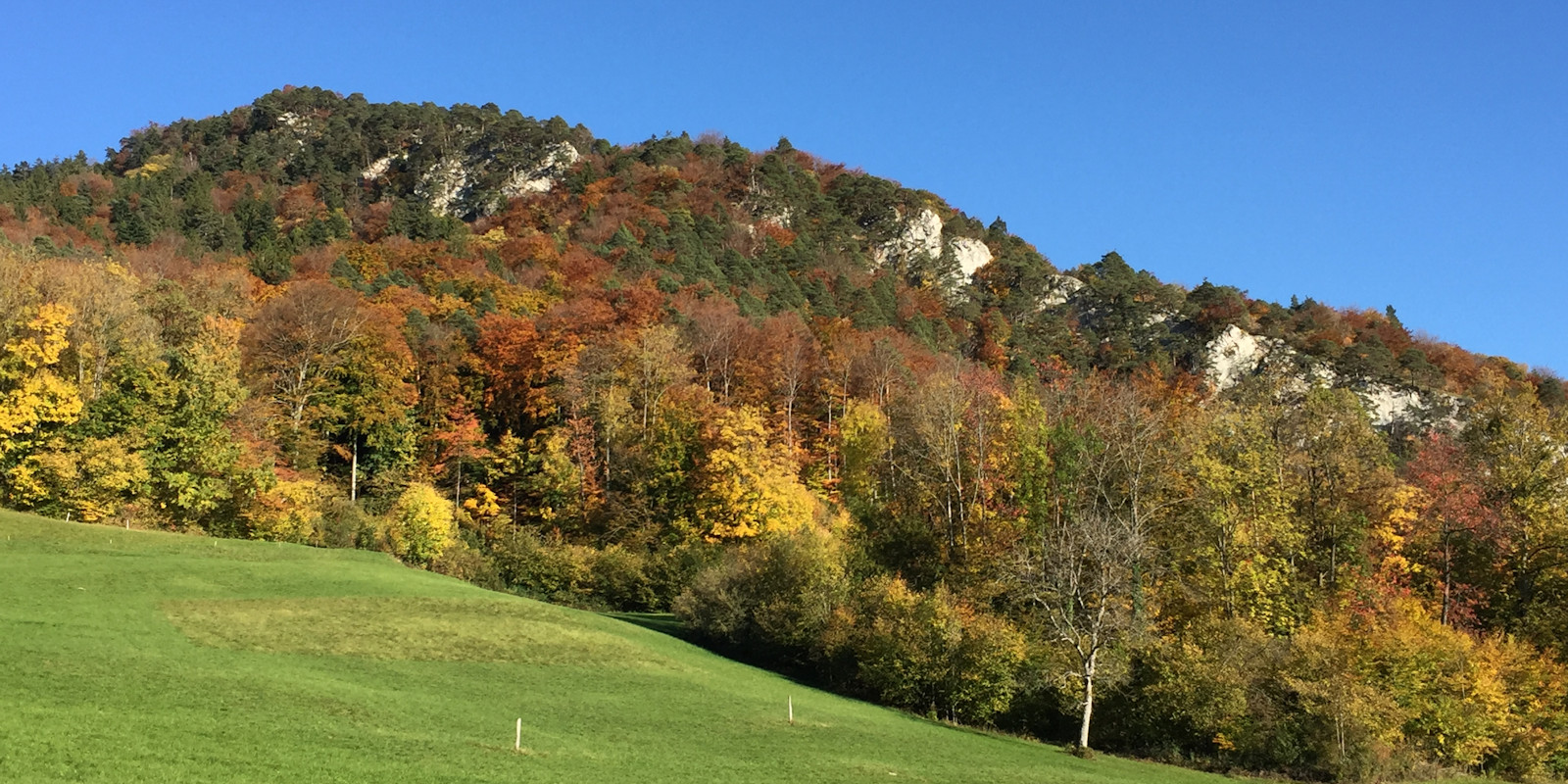 Turnfahrt Freitag Fitness