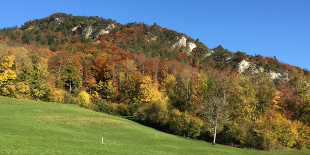 15. Oktober: Turnfahrt Freitag Fitness