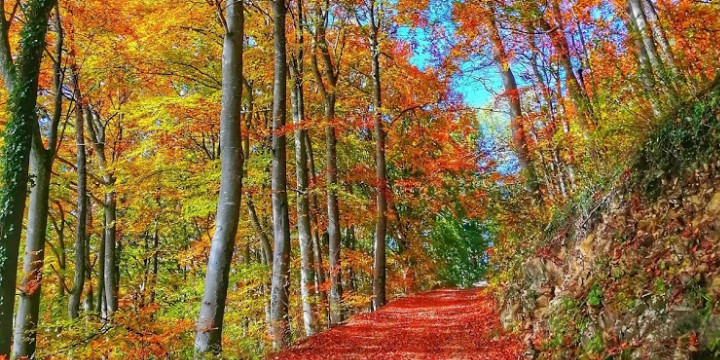 20. Oktober: Wanderung Freitag Fitness