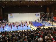 Schaukelringe rechts ...