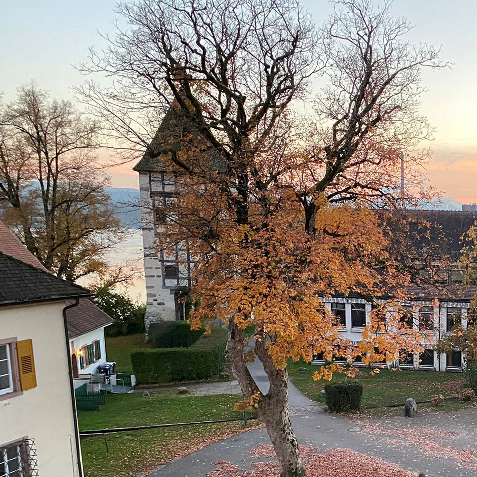 20 Jahre Fritigstrüppli