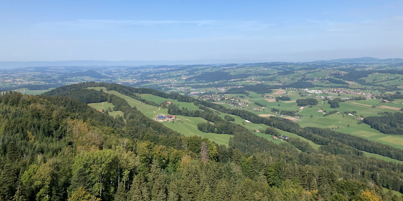 Richtung Norden (Palézieux)