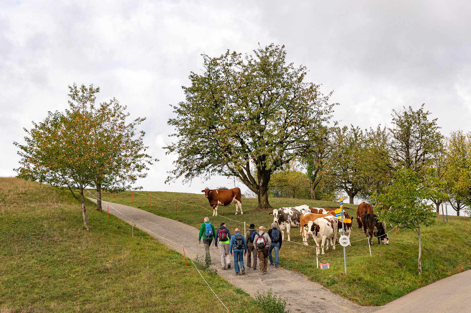 Herbstwanderung Freitag Fitness