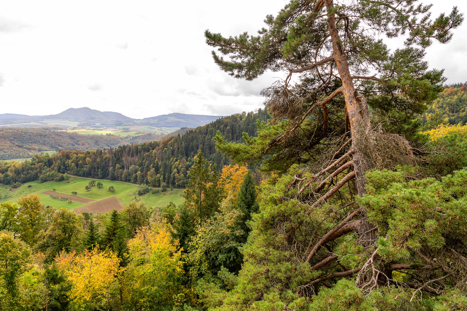 Herbstwanderung Freitag Fitness