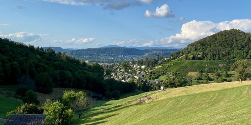 3. Juli - 7. August: Sommerprogramm