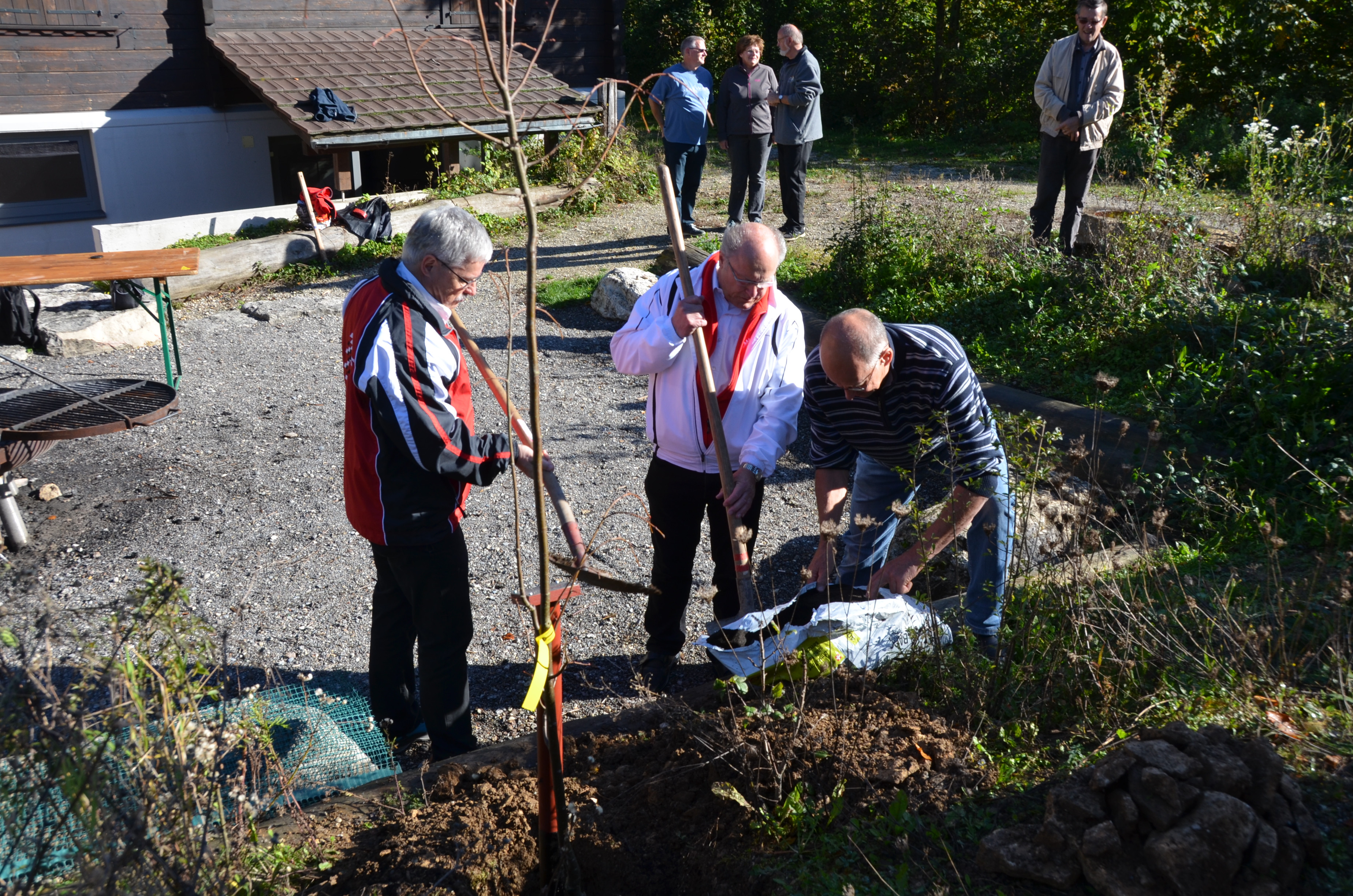 2014: Karl, Geri und Hansueli beim setzen der Winterlinde