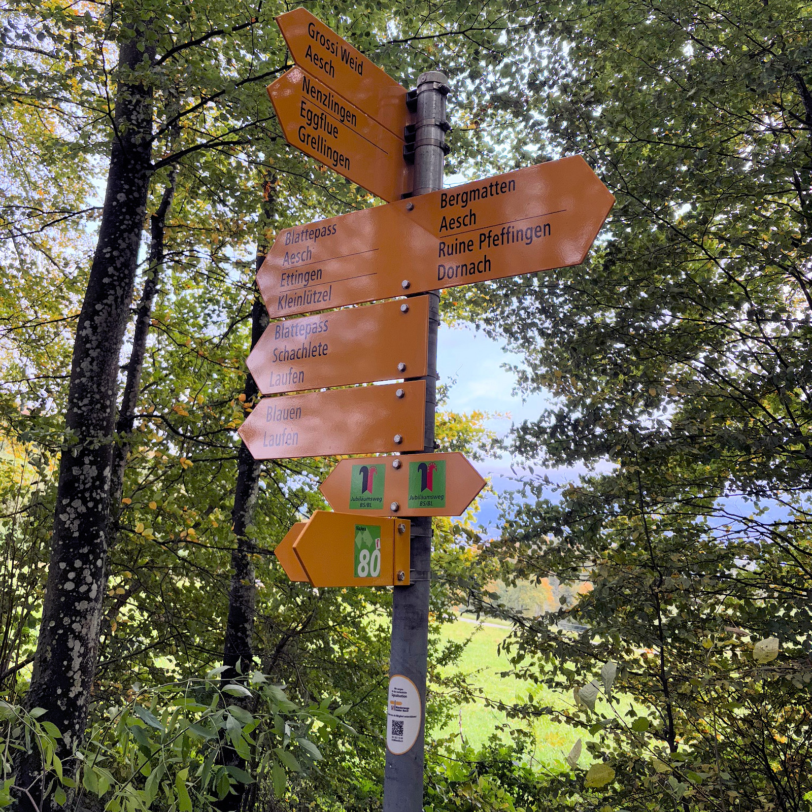 Turnfahrt Freitag Fitness