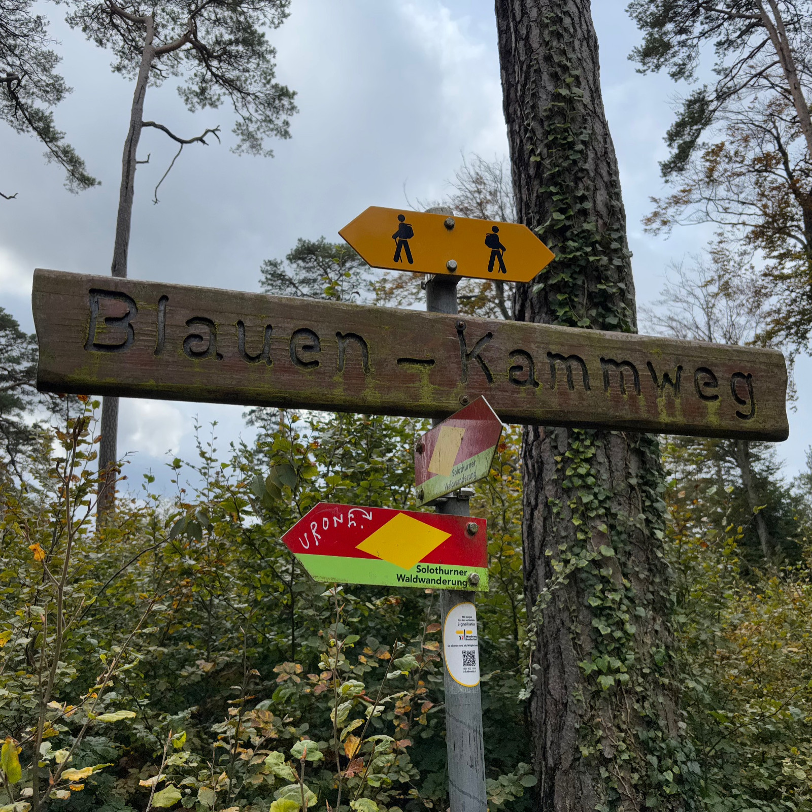 Turnfahrt Freitag Fitness