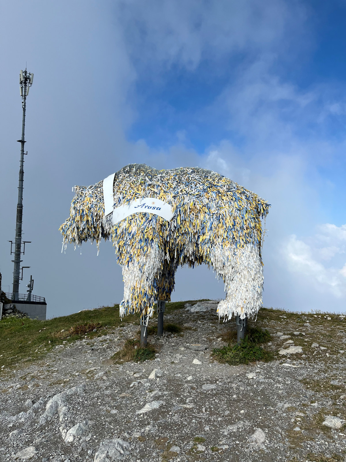 Der falsche Bär auf dem Weisshorn