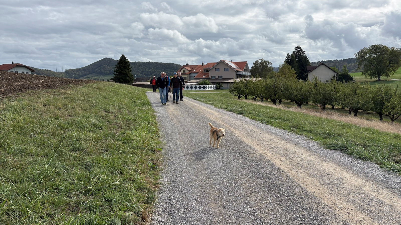 Kurz nach dem Sulzerberg