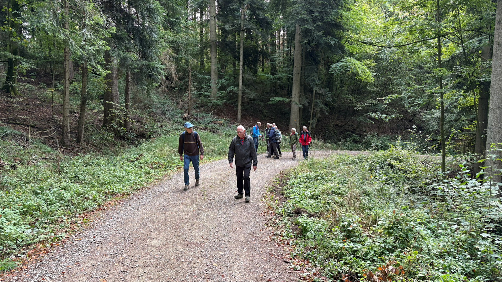 Im Wald bei Birristrotthau