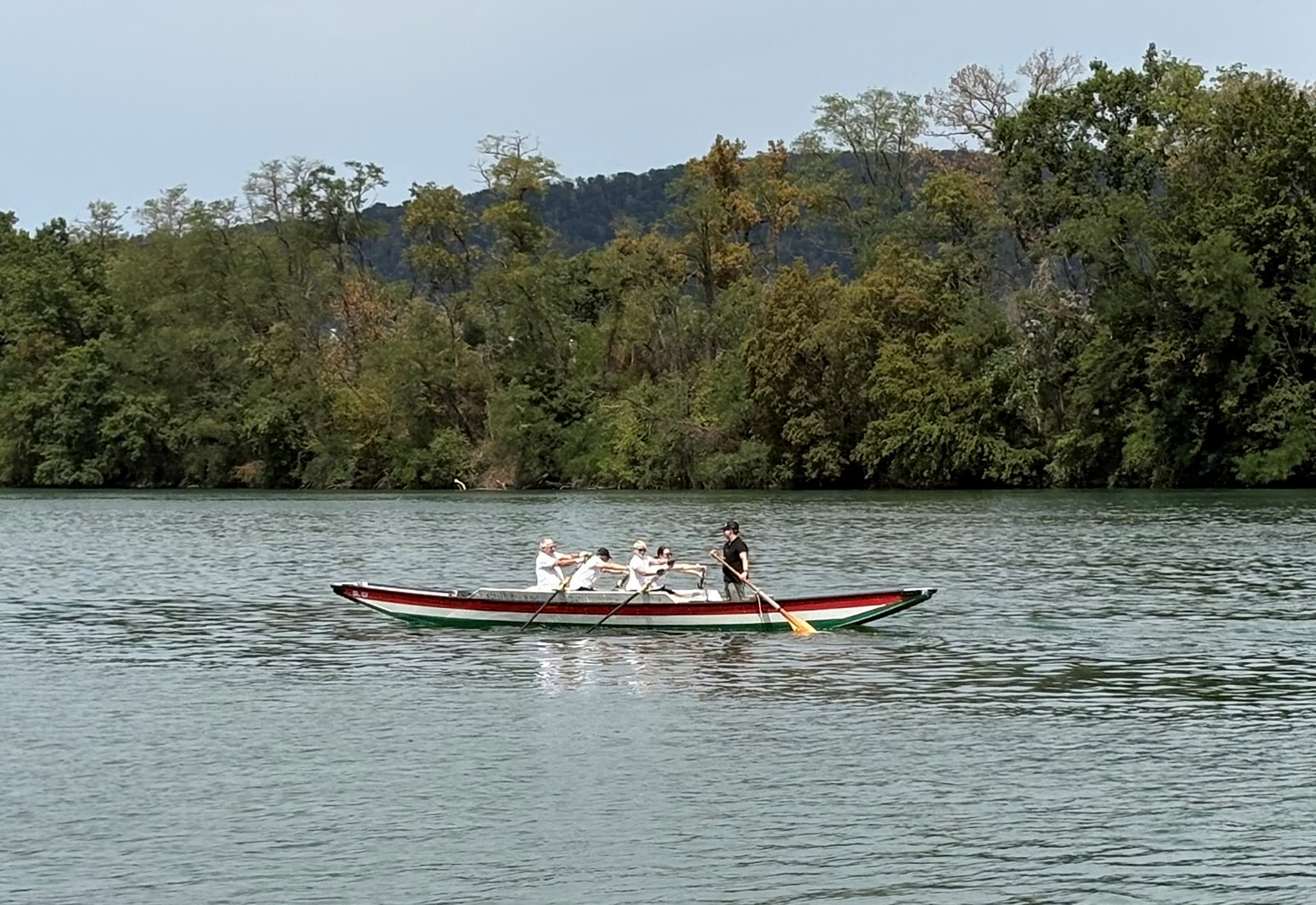 Im Wettkampf quer über den Rhein