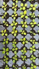 Candlelight Dinner 2026