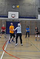 Plauschvolleyball-Turnier 2016