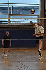 Plauschvolleyball-Turnier 2016