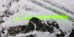 15. Jan. 2017: Schnitzeljagd