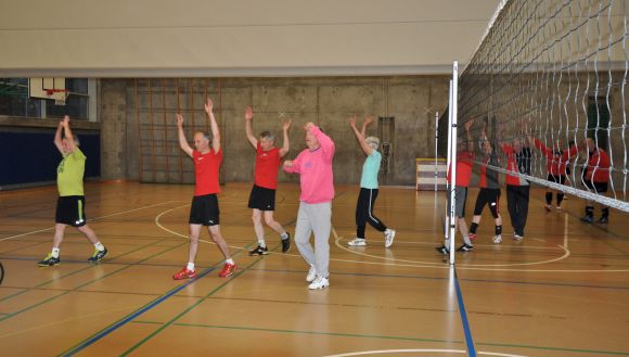 Plausch-Volley