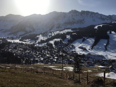 Wo seid ihr alle? Wo seid ihr alle?