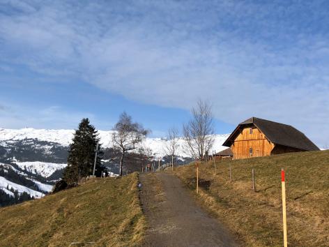 Schneeweekend 2020 Schneeweekend 2020