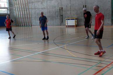 Plausch-Volley