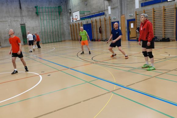 Mixed-Volley-Plauschturnier