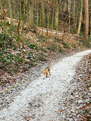 Tierische Unterstützung