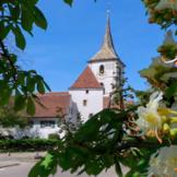 © P. Wehrli, Muttenz