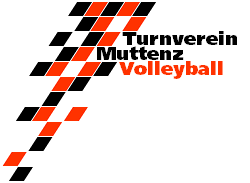 Logo Volleyball