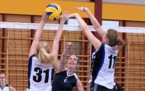 WB-Cup 2013