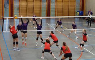 Damen 2 - VBC Münchenstein 2 (15.11.2025)