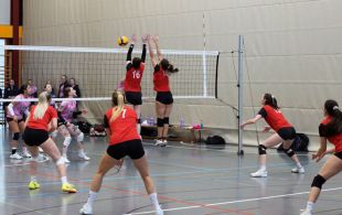 Damen 1 - Sm'Aesch Pfeffingen 3  (7.02.2026)