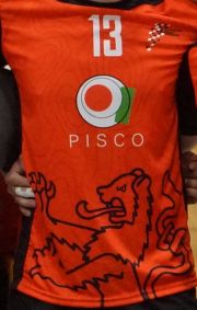 Pisco